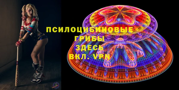 спиды Алексин