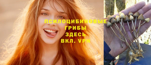 a pvp Алексеевка