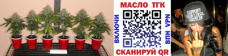 darknet состав  Новая Ладога  ТГК жижа  цена  