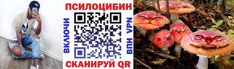 что такое наркотик  Новая Ладога  Галлюциногенные грибы ЛСД 